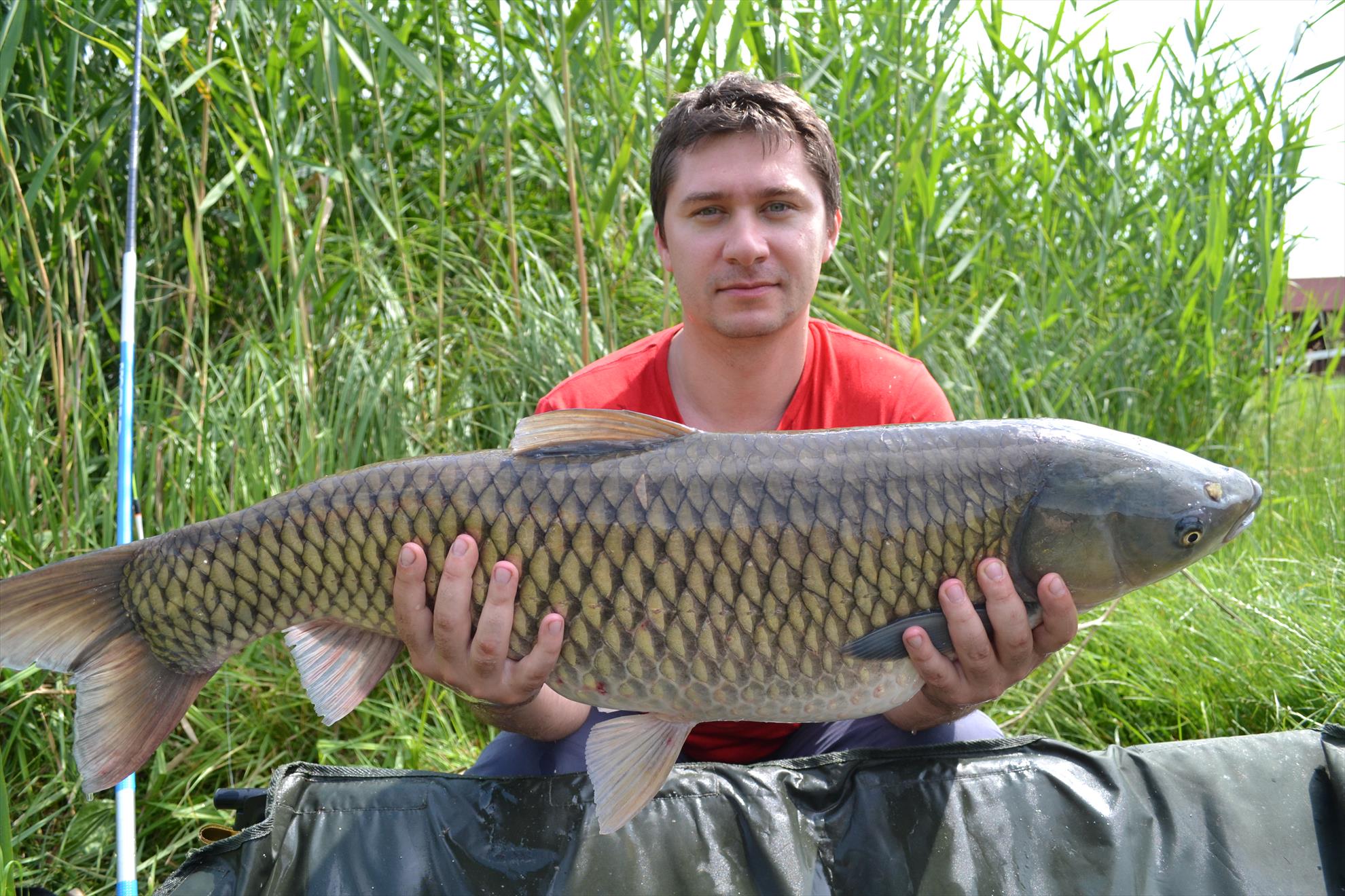 Pescuit Balta Lazar 6-8 iunie 2014 - dsc0064.JPG